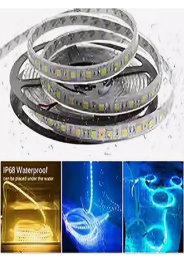 Şerit Led Ip68 Havuz Led Su Geçirmez Neom Rgb Led 10m