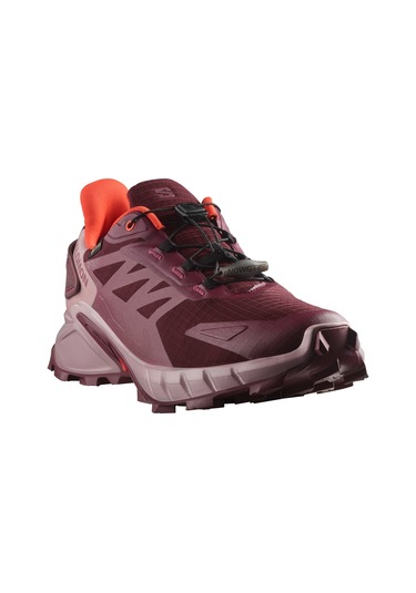 Salomon Supercross 4 Gtx W Tawny Port/deauville Mauve/cherry Toma 001