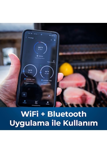 Napoleon Prestige 500 Connected Rsib Gazlı Mangal Gri