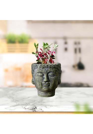Suntek Çimento Buda Head Pot Statue Bonsai Çiçek Vazo Yeşil