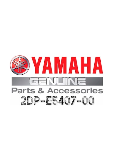 Yamaha Nmax 125 155 Varyatör Filtresi
