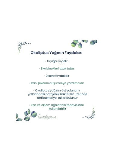 Npo Yogaroma Ferahlatıcı Aromaterapi 10ml Saf Ve Doğal Okaliptus Uçucu Yağ 10 ML
