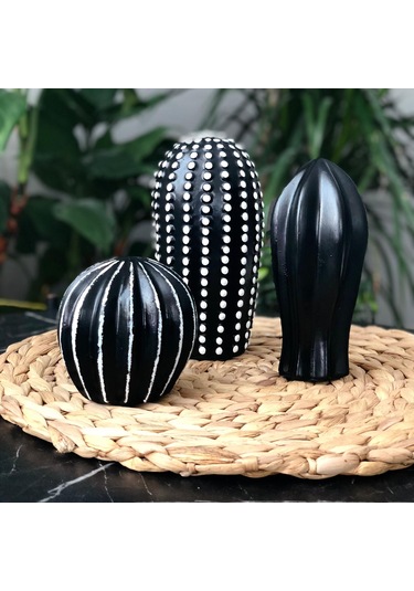 Thiramis Siyah Beyaz Detay Dekoratif 3'lü Kaktüs