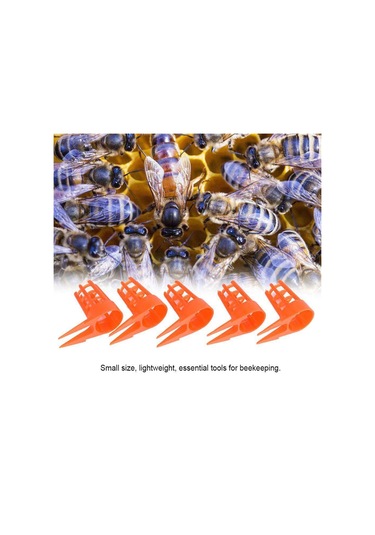 Xurunkeji Arı Kraliçesi Kapağı Bal Arısı Peteği İtmeli Kraliçe Hücre Koruyucuları Arıcılık Malzemeleri İçin Arıcılık Kraliçesi-arı Yetiştirme Kafesi