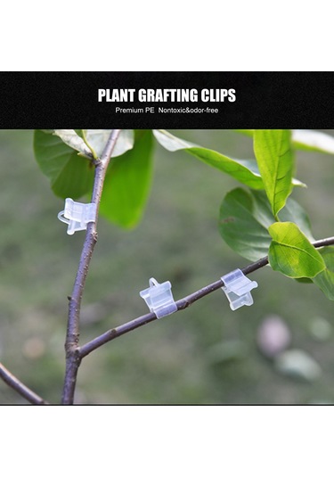 Symbee Bahçe Bitkileri Aşılı Klembi - Reusable Pe Malzeme - 2-4.5mm Fıtö Sağlar - Şeffaf Görünüm - Domates Salatalık Fidanı İçin - 100 Adet/paket