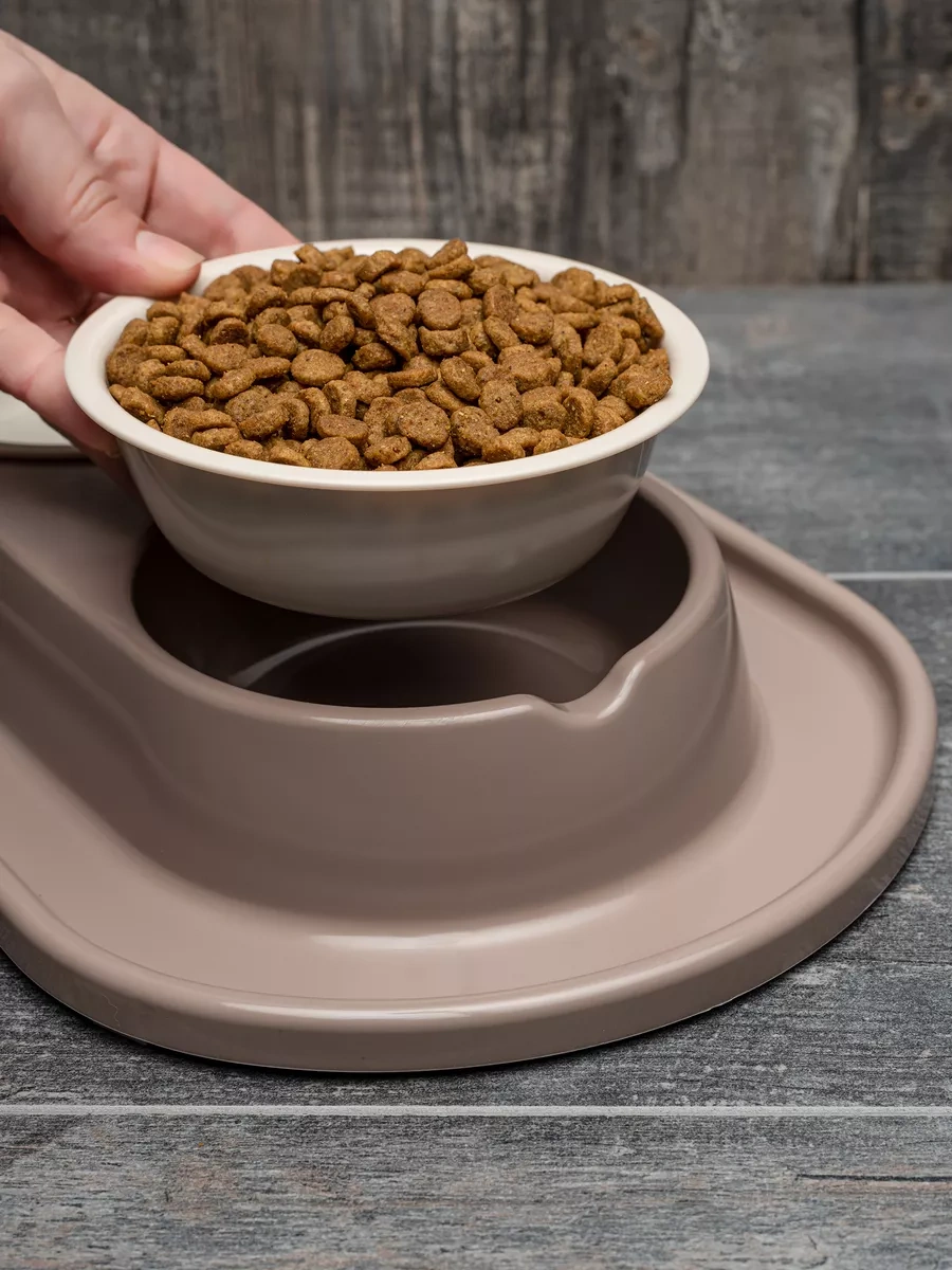 Al'ternativa Bej Renkli Kedi Ve Köpekler İçin Çift Kase 178093931