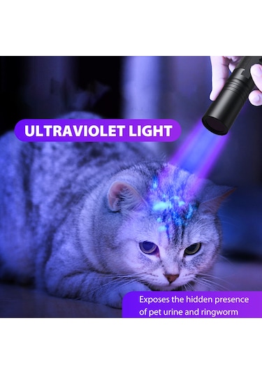 Uv 365nm Işık, 20w Taşınabilir Şarj Edilebilir Wood's Lambası Mini El Tipi Uv El Feneri Köpek İdrarı, Evcil Hayvan Lekeleri, Reçine Kürleme, Floresan Maddesi Siyah