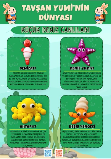 Tavşan Yumi Küçük Deniz Canlıları Koleksiyonu- 4 Parça 5-7 Cm Hareketli Oyuncaklar Ve Bilgilendirici Kartlar "