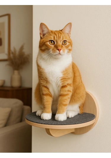 Go Cats Kediler İçin Duvar Tipi Halılıkmlı Raf 430861488