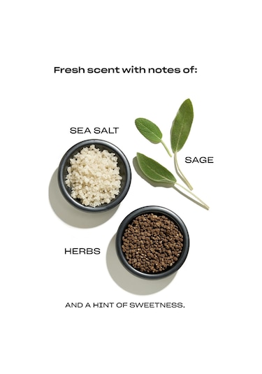 Babe Original Densifying Hacim, Nem Ve Parlaklık Şampuanı 750ml