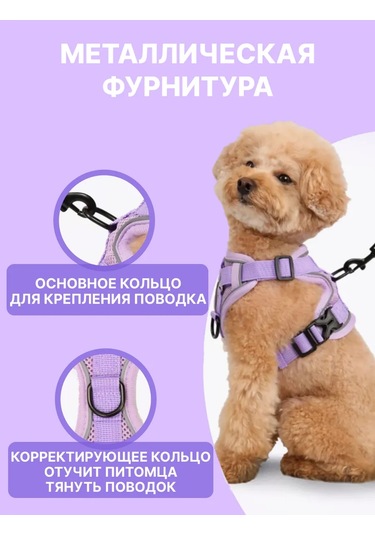 Tori Küçük Ve Orta Irklar İçin Tasmalı Köpek Kayışı Ve Kedi Şeridi 481276812