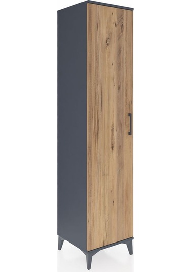 Hyperion Dolap 3 Raflı Tek Kapaklı Tek Askılı 44x44x195 Antra... Antrasit