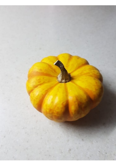 Minyatür Sarı Süs Bal Kabağı Tohumu 10 Adet