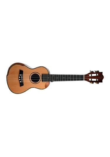 Gstyle Uk-24kht Concert Ukulele