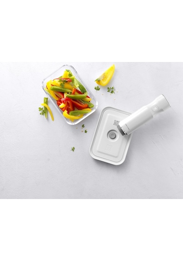 Zwilling Vakum Pompası