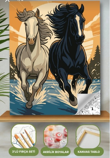 Denic Sayılarla Boyama Seti 40x50 Cm (Çıtalı) Fırça Boya Dahil Numaralı Tuval Beyaz ve Siyah At