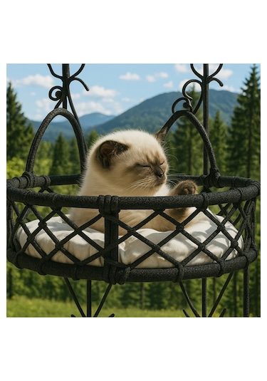 Teknor Cam Güzeli Kedi Köpek Yatağı
