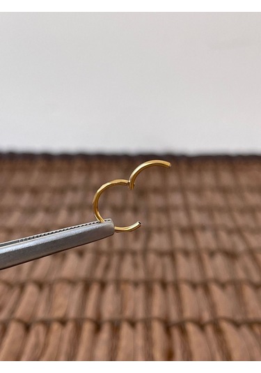 316 L Cerrahi Çelik Anti Alerjik Kesme Baklava 10 Mm X 1.2mm Altın Kilitli Halka Piercing Gümüş
