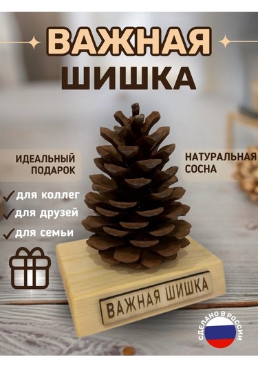 Önemli Kozalak Harika Bir Hediye 434827979