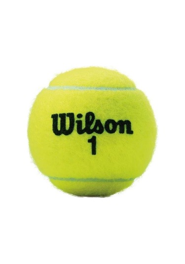 Wilson Tenis Topu Championship Xd 3lü Wrt100101