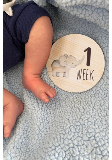 Safari Ahşap Bebek Anı Diskleri İngilizce Fotoğraf Çekim Kartları