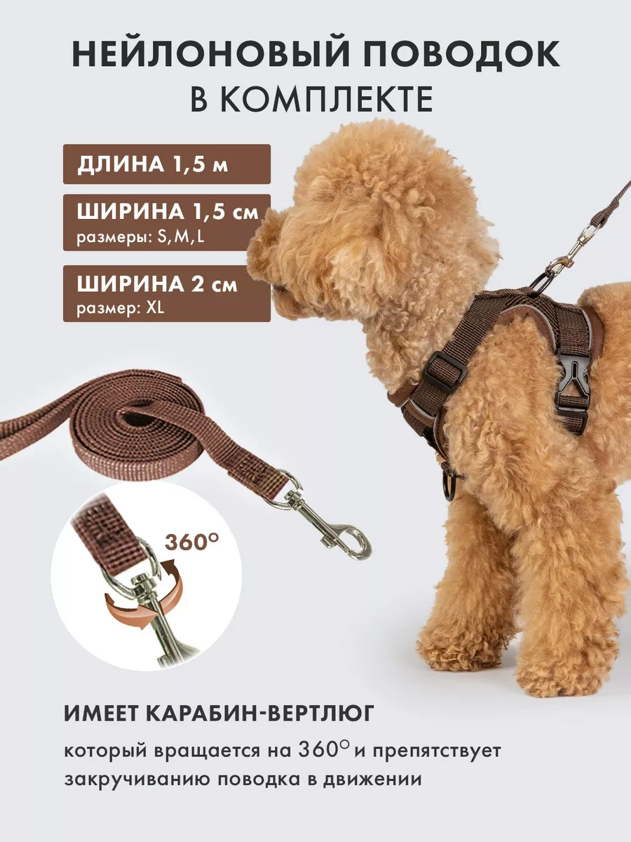 Purrfect Place Köpekler Ve Kedi İçin Tasma Şeritli Tasma 253725673