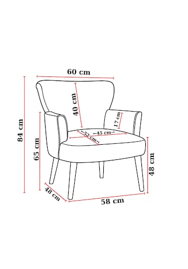 Roma Berjer - Modern Tekli Koltuk - Babyface Kumaş - Gri