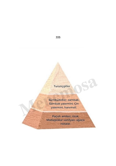 Bargello 335 Kadın Parfüm EDP 50 ML Floral - Mnms50335 Aromatik