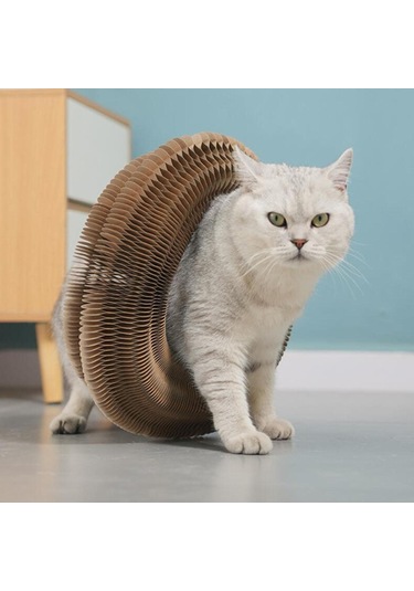 Suntek Organ Kedi Tırma Tahtası Tırmalama Katlanabilir Bir