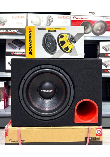 Sx-aks12 Pro Kabinli Profesyonel Pro Seri 1500wat 400w Rms 30 Cm Subwoofer Bas