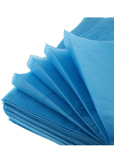 Homyl 10 Adet Tek Kullanımlık Güzellik Masaj Salonu Otel Mavi