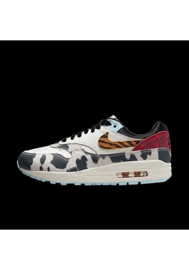 Nike Women's Air Max 1 '87 Çok Renkli