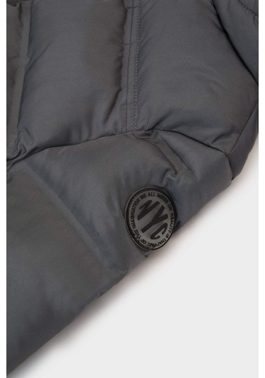 Defacto Erkek Bebek Kapüşonlu Fermuarlı Mont C6963a525auar141 Antrasit