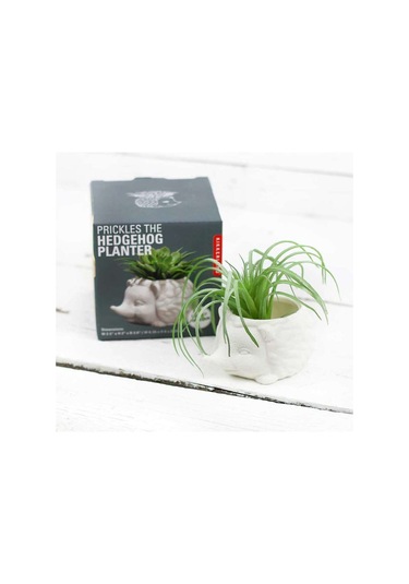 Kikkerland Prıckles The Hedgehog Planter Seramik Kirpi Saksı