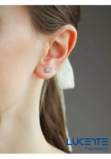 Lucente Titanum 925 Gümüş Küpe 151834198 Diğer