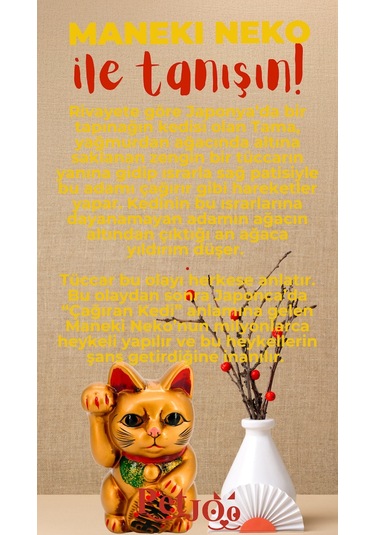 Petjoo 4.Maneki Neko Kırmızı-Sarı Qr'lı Kedi Künyesi
