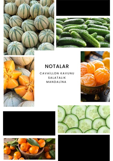 Ixora E034 Assist Erkek Parfüm EDP 100 ML