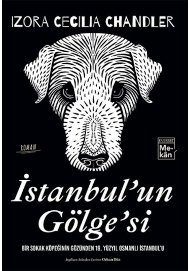 İstanbul Un Gölge Si