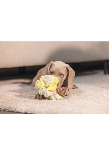 Beeztees Köpek Ödül Saklama Oyuncağı, Top, Polar, Gri/yeşil, 13cm