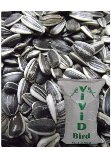 Vivid Küçük Çekirdek Tuzsuz 1kg Praket