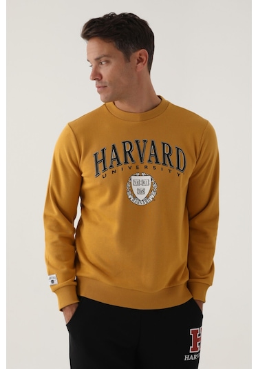 Harvard Koyu Hardal Erkek Sweatshirt Hardal