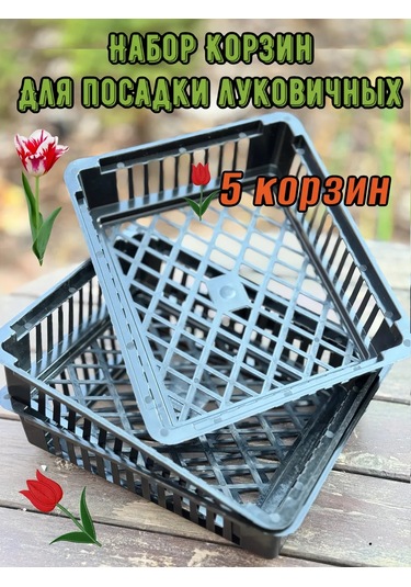 Domdacaogorod Soğanlı Bitkiler Ve Kelebek Yetiştirme Sepeti 263098583