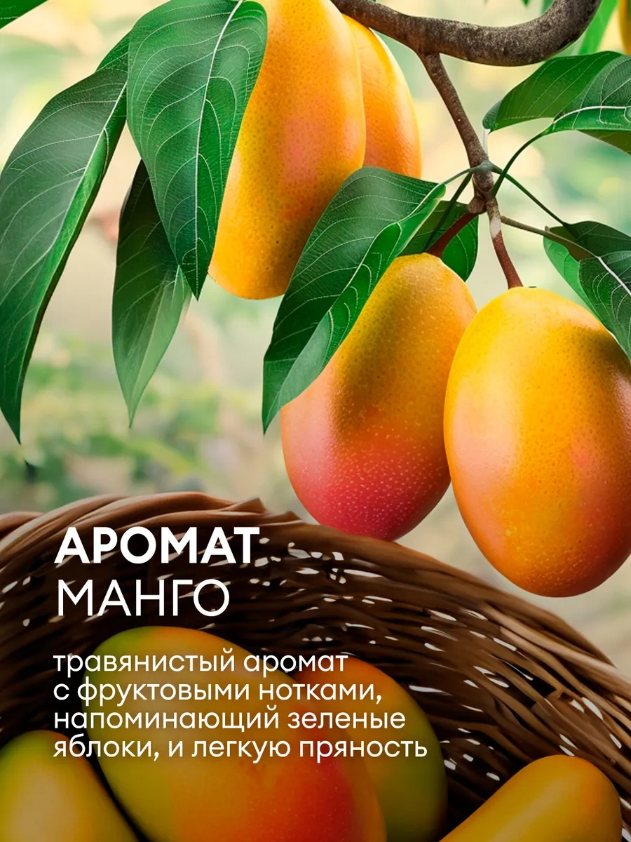 Grass Bulaşık Jel Elma + Mangolu Sıvı Sabun 5l+5l Laun Seti 279085560