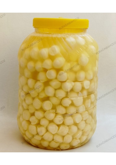 Burağın Bahçesi Tam Yağlı Salamura İnek Misket Peynir Net 2900 G