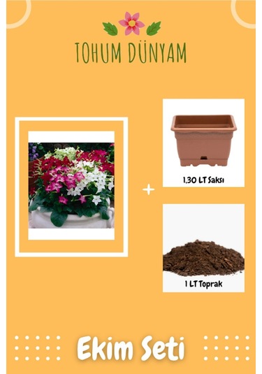 Karışık Renkli Yasemin Tütünü Sarmaşık Çiçek Tohumu Ekim Seti