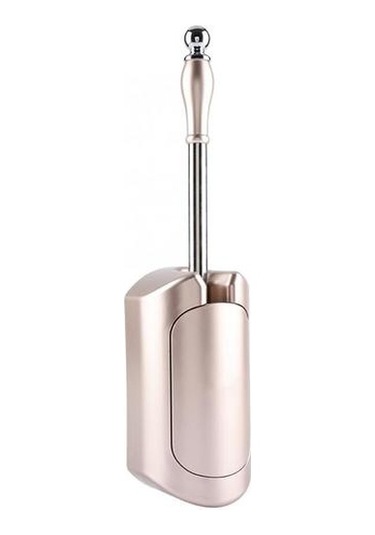 Paslanmaz Çelik Tuvalet Fırçası Tutucu Seti Ev Otel Banyo Temizleme Aracı Oto Açık Yakın Tutucu Ayrılabilir Plastik Fırça Kafası Tuvalet Fırçası Tutucular Antik