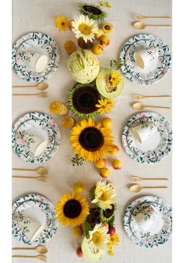 Ajvıen Kompanı 50 Kişilik Tek Kullanımlık Sofra Takımı 486576041 100 adet