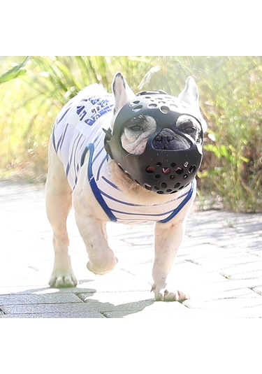 Xindoker Köpek Ağızlığı - Isırma Önleyici, Yumuşak Tpu Malzeme, Nefes Alabilir Tasarım, Siyah Renk S Boy