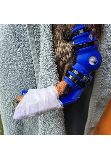 Brightnova Siyah Tavuk Veya Ördek Bütün But Ve Ayak Splinti