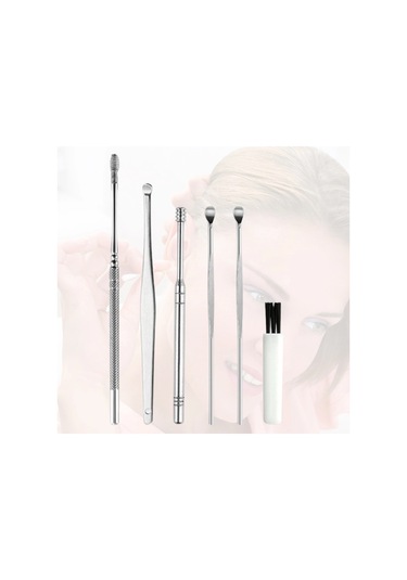 6 Parça Paslanmaz Çelik Kulak Balmumu Toplayıcı Çıkarıcı Temizleyici Bakımı Çubuk Seti